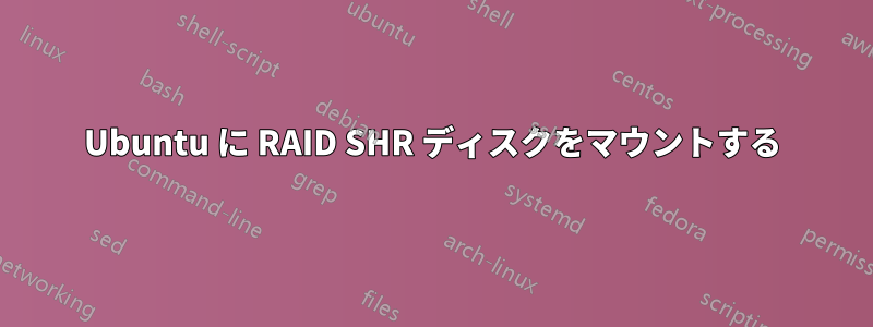 Ubuntu に RAID SHR ディスクをマウントする