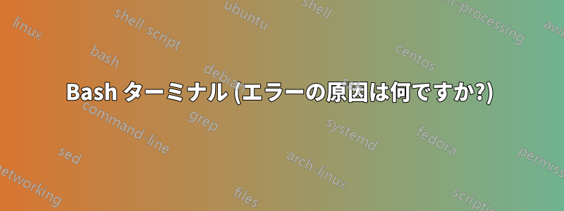 Bash ターミナル (エラーの原因は何ですか?)