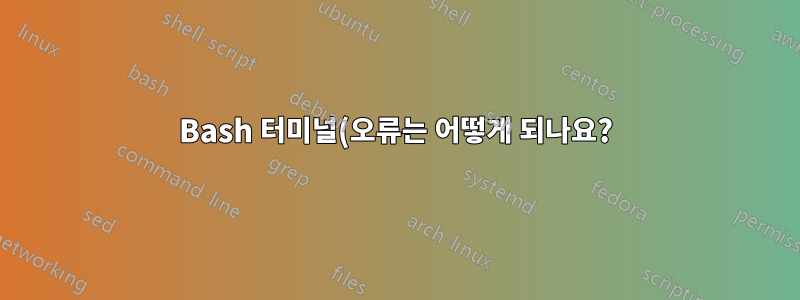 Bash 터미널(오류는 어떻게 되나요?)