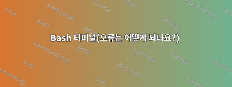 Bash 터미널(오류는 어떻게 되나요?)