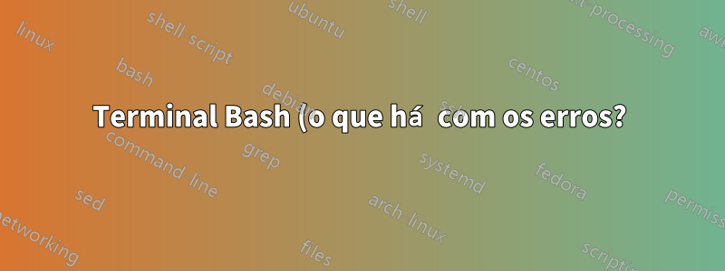Terminal Bash (o que há com os erros?)