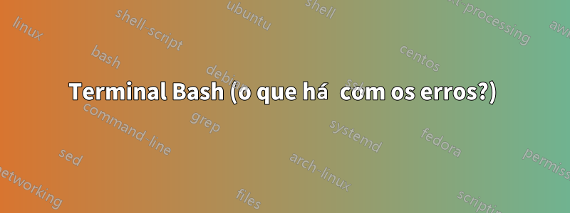 Terminal Bash (o que há com os erros?)