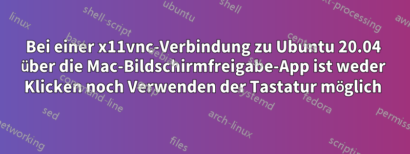 Bei einer x11vnc-Verbindung zu Ubuntu 20.04 über die Mac-Bildschirmfreigabe-App ist weder Klicken noch Verwenden der Tastatur möglich