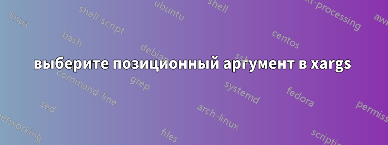 выберите позиционный аргумент в xargs