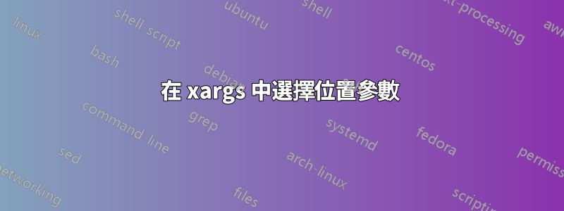 在 xargs 中選擇位置參數