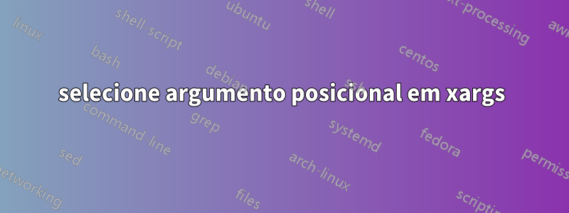 selecione argumento posicional em xargs