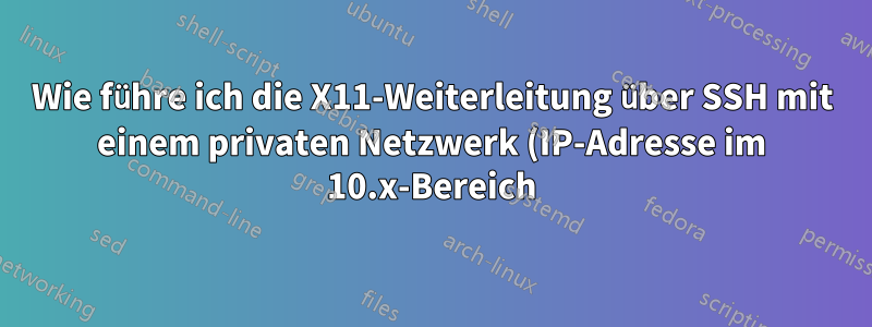 Wie führe ich die X11-Weiterleitung über SSH mit einem privaten Netzwerk (IP-Adresse im 10.x-Bereich) durch, das von einem QEMU-emulierten Betriebssystem (Raspbian) auf meinem Ubuntu 21.04 X64 generiert wird?