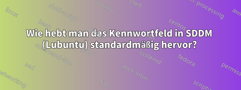 Wie hebt man das Kennwortfeld in SDDM (Lubuntu) standardmäßig hervor?