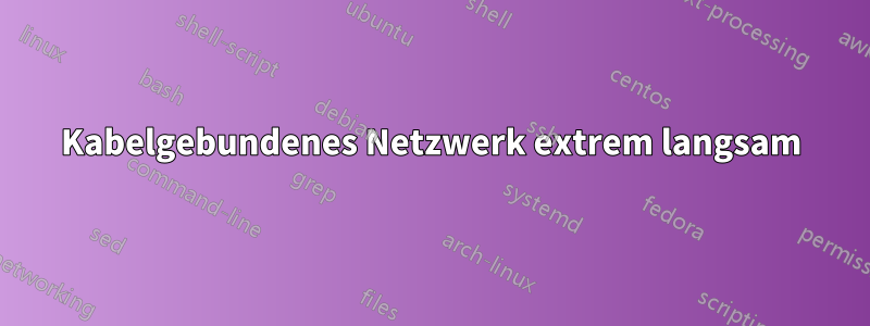 Kabelgebundenes Netzwerk extrem langsam