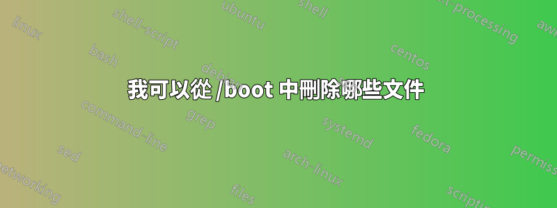 我可以從 /boot 中刪除哪些文件