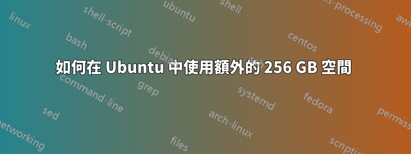 如何在 Ubuntu 中使用額外的 256 GB 空間