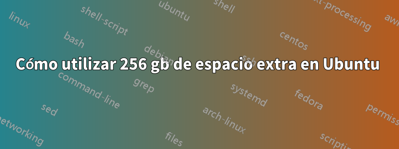 Cómo utilizar 256 gb de espacio extra en Ubuntu