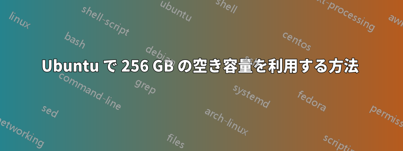 Ubuntu で 256 GB の空き容量を利用する方法