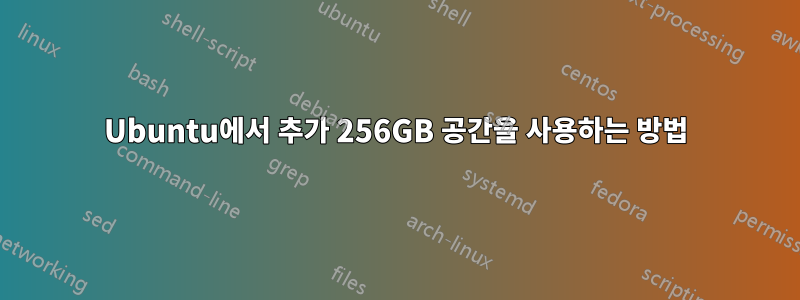 Ubuntu에서 추가 256GB 공간을 사용하는 방법