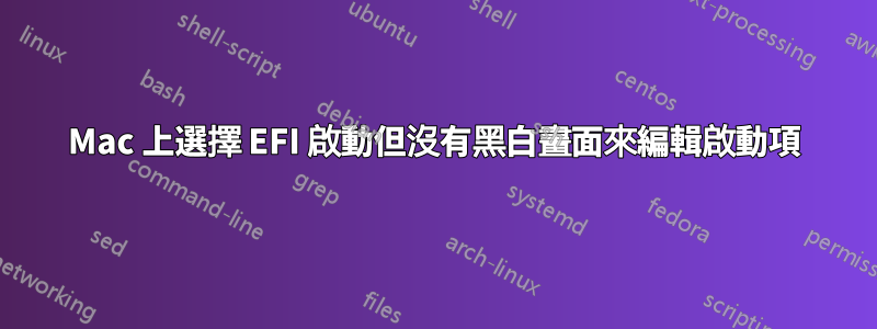 Mac 上選擇 EFI 啟動但沒有黑白畫面來編輯啟動項