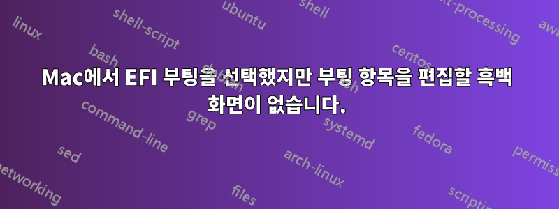 Mac에서 EFI 부팅을 선택했지만 부팅 항목을 편집할 흑백 화면이 없습니다.