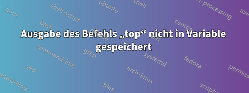 Ausgabe des Befehls „top“ nicht in Variable gespeichert