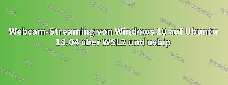 Webcam-Streaming von Windows 10 auf Ubuntu 18.04 über WSL2 und usbip