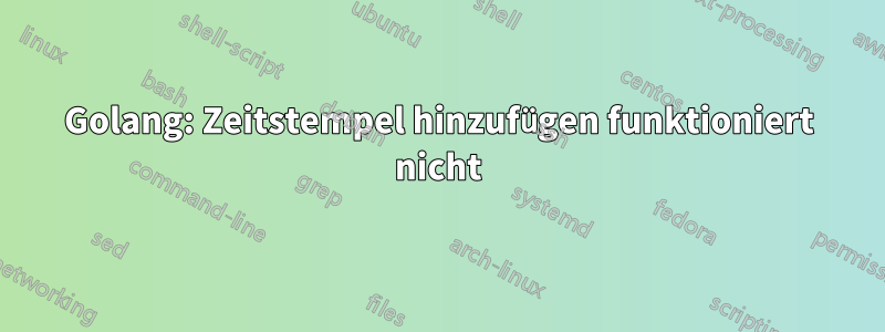 Golang: Zeitstempel hinzufügen funktioniert nicht