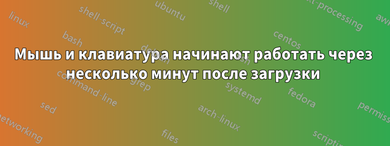 Мышь и клавиатура начинают работать через несколько минут после загрузки