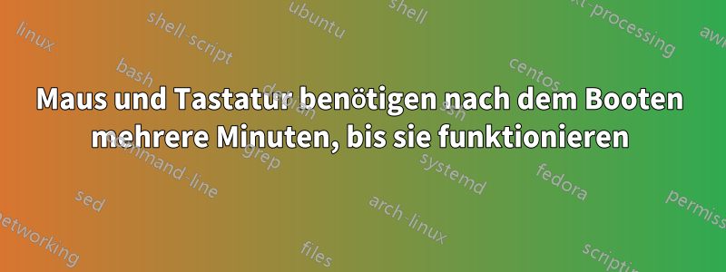 Maus und Tastatur benötigen nach dem Booten mehrere Minuten, bis sie funktionieren