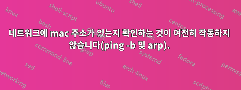 네트워크에 mac 주소가 있는지 확인하는 것이 여전히 작동하지 않습니다(ping -b 및 arp).