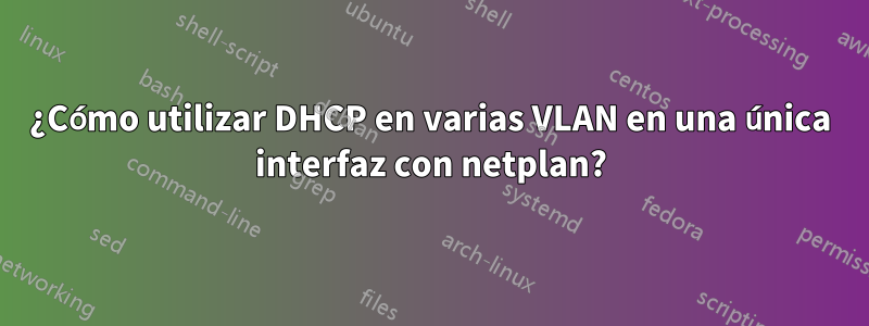 ¿Cómo utilizar DHCP en varias VLAN en una única interfaz con netplan?