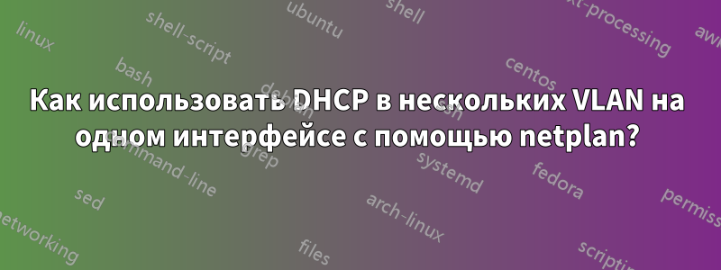 Как использовать DHCP в нескольких VLAN на одном интерфейсе с помощью netplan?