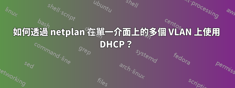 如何透過 netplan 在單一介面上的多個 VLAN 上使用 DHCP？