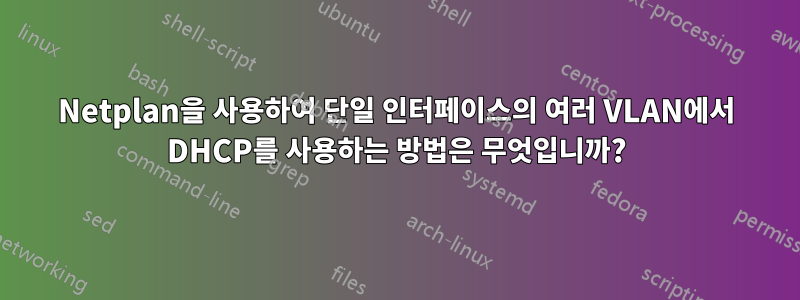 Netplan을 사용하여 단일 인터페이스의 여러 VLAN에서 DHCP를 사용하는 방법은 무엇입니까?