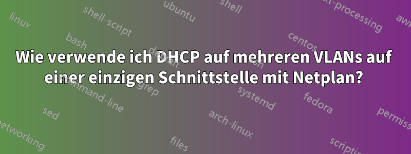 Wie verwende ich DHCP auf mehreren VLANs auf einer einzigen Schnittstelle mit Netplan?