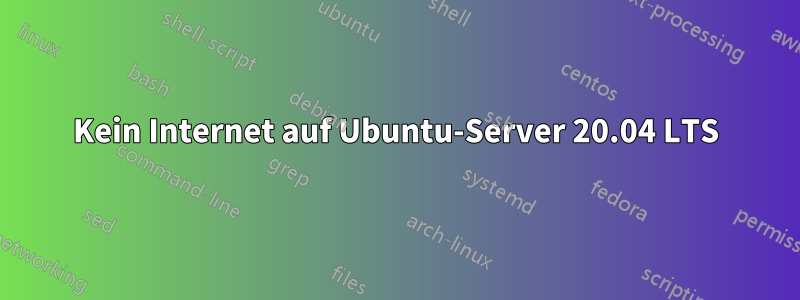 Kein Internet auf Ubuntu-Server 20.04 LTS