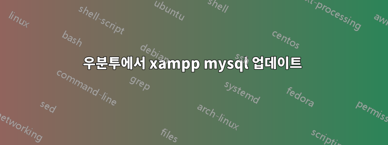 우분투에서 xampp mysql 업데이트