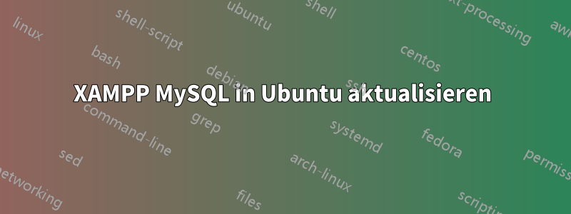 XAMPP MySQL in Ubuntu aktualisieren