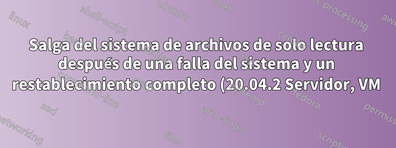Salga del sistema de archivos de solo lectura después de una falla del sistema y un restablecimiento completo (20.04.2 Servidor, VM)