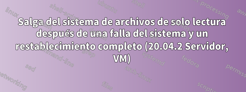 Salga del sistema de archivos de solo lectura después de una falla del sistema y un restablecimiento completo (20.04.2 Servidor, VM)