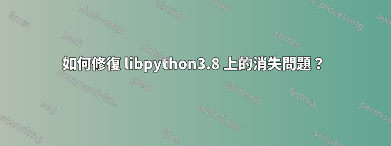 如何修復 libpython3.8 上的消失問題？