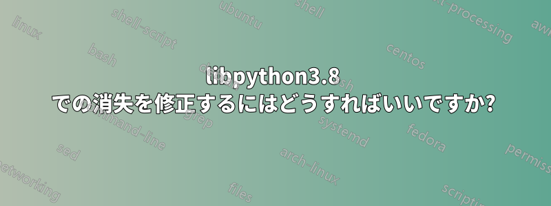 libpython3.8 での消失を修正するにはどうすればいいですか?