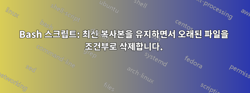 Bash 스크립트: 최신 복사본을 유지하면서 오래된 파일을 조건부로 삭제합니다.