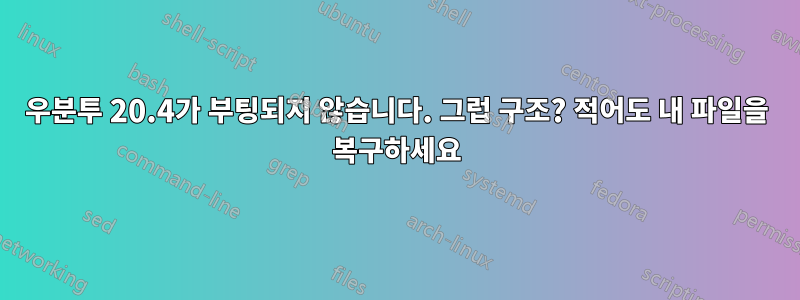 우분투 20.4가 부팅되지 않습니다. 그럽 구조? 적어도 내 파일을 복구하세요