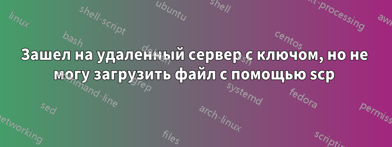 Зашел на удаленный сервер с ключом, но не могу загрузить файл с помощью scp