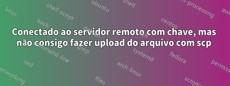 Conectado ao servidor remoto com chave, mas não consigo fazer upload do arquivo com scp