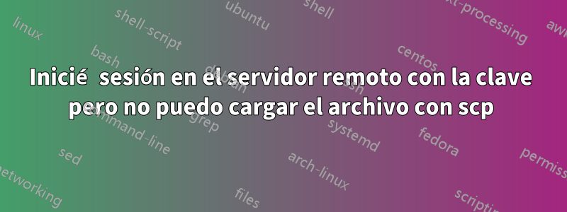 Inicié sesión en el servidor remoto con la clave pero no puedo cargar el archivo con scp