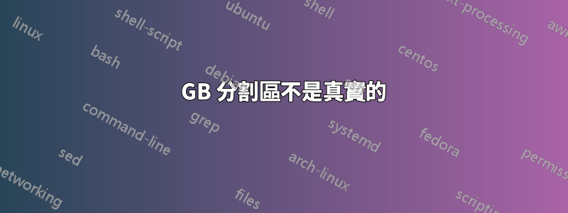 100 GB 分割區不是真實的