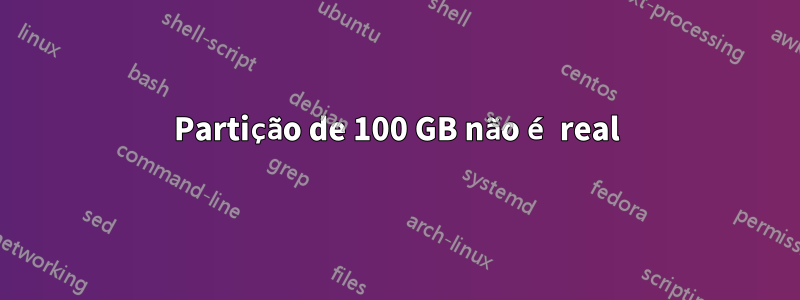 Partição de 100 GB não é real