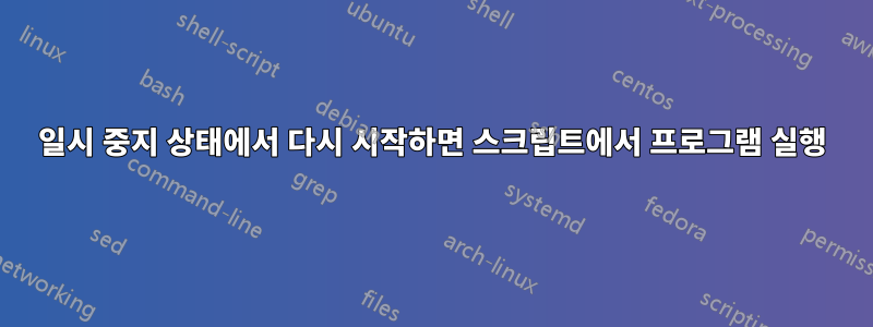 일시 중지 상태에서 다시 시작하면 스크립트에서 프로그램 실행