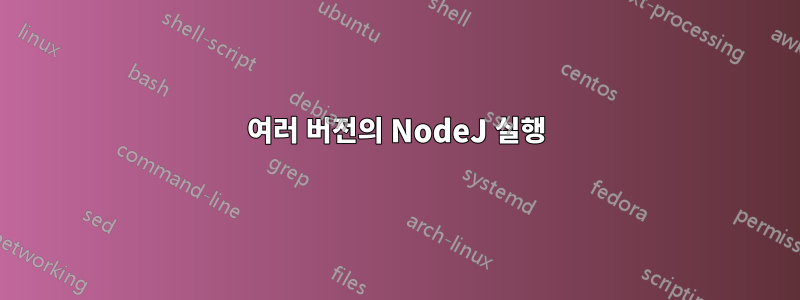 여러 버전의 NodeJ 실행