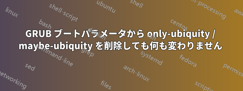 GRUB ブートパラメータから only-ubiquity / maybe-ubiquity を削除しても何も変わりません