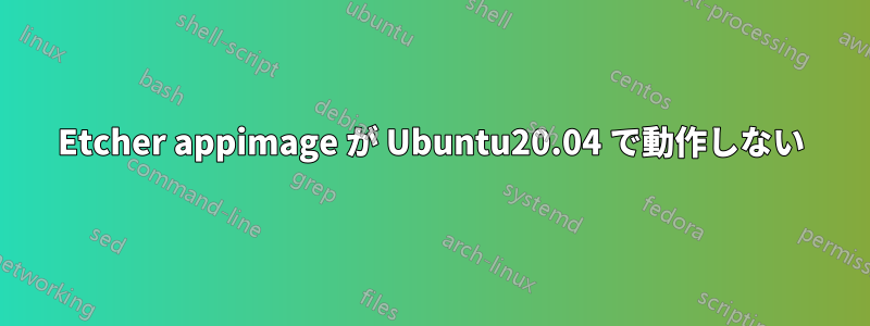 Etcher appimage が Ubuntu20.04 で動作しない