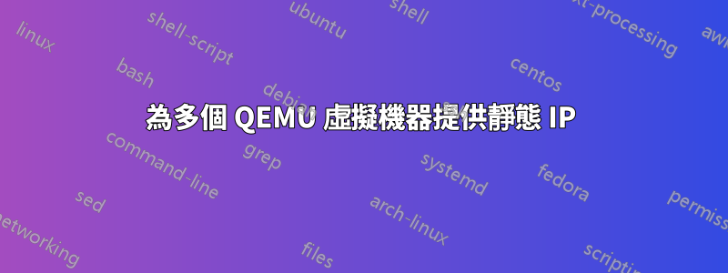 為多個 QEMU 虛擬機器提供靜態 IP